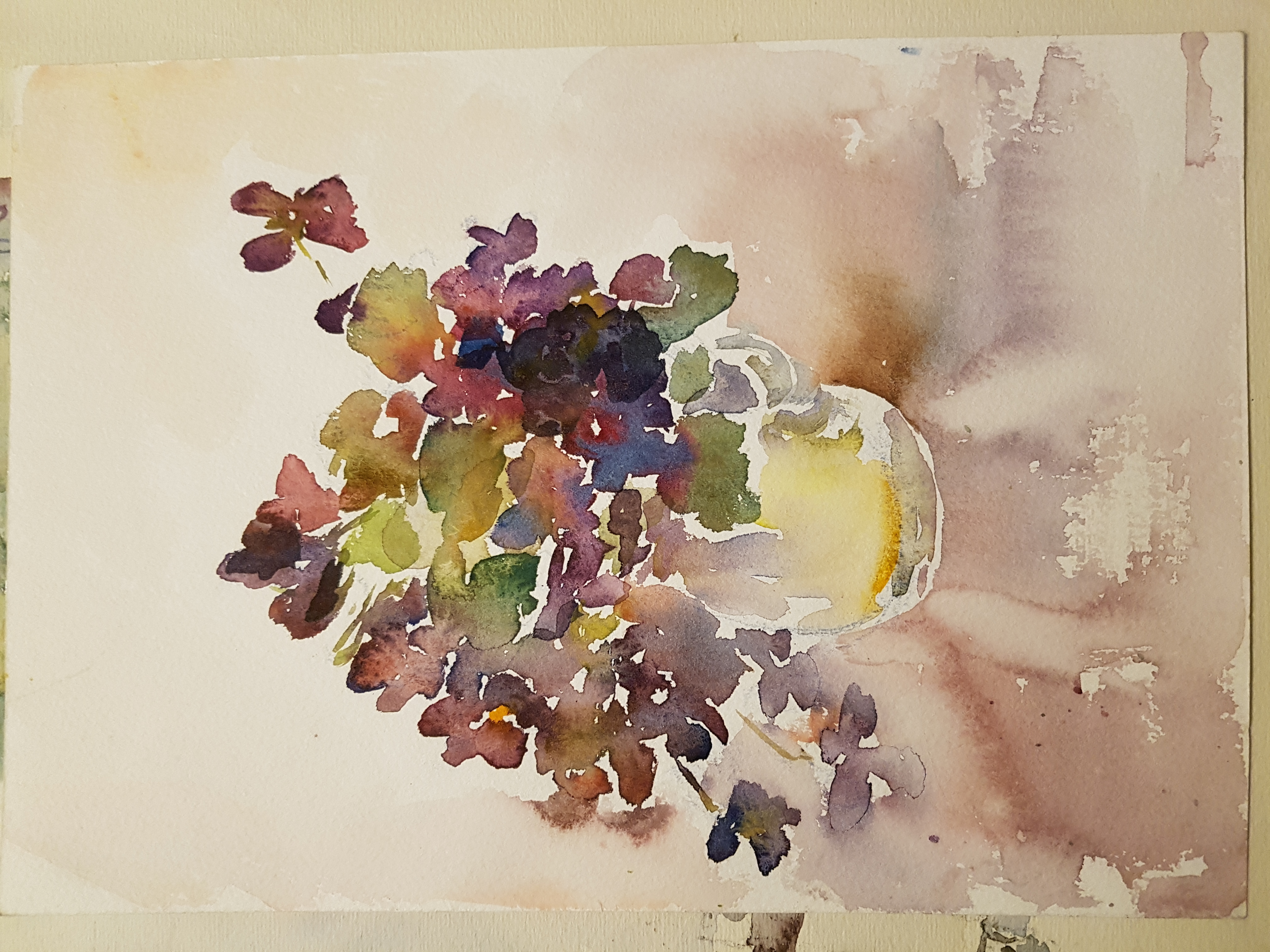 2017-01-21 19.17.23