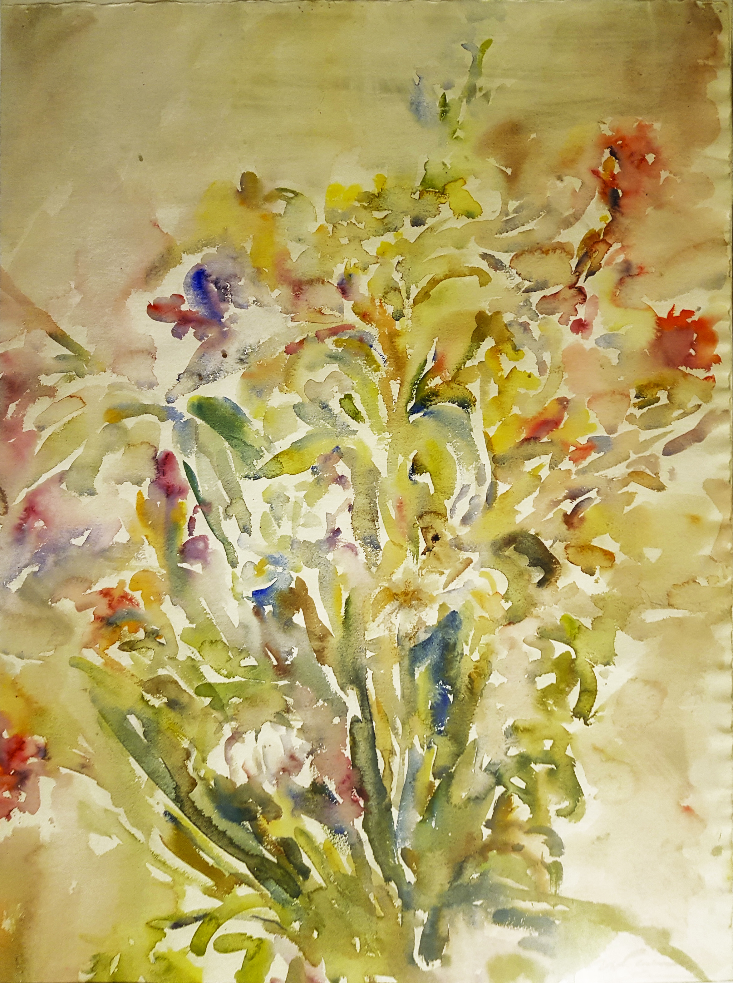 f1 54x73
