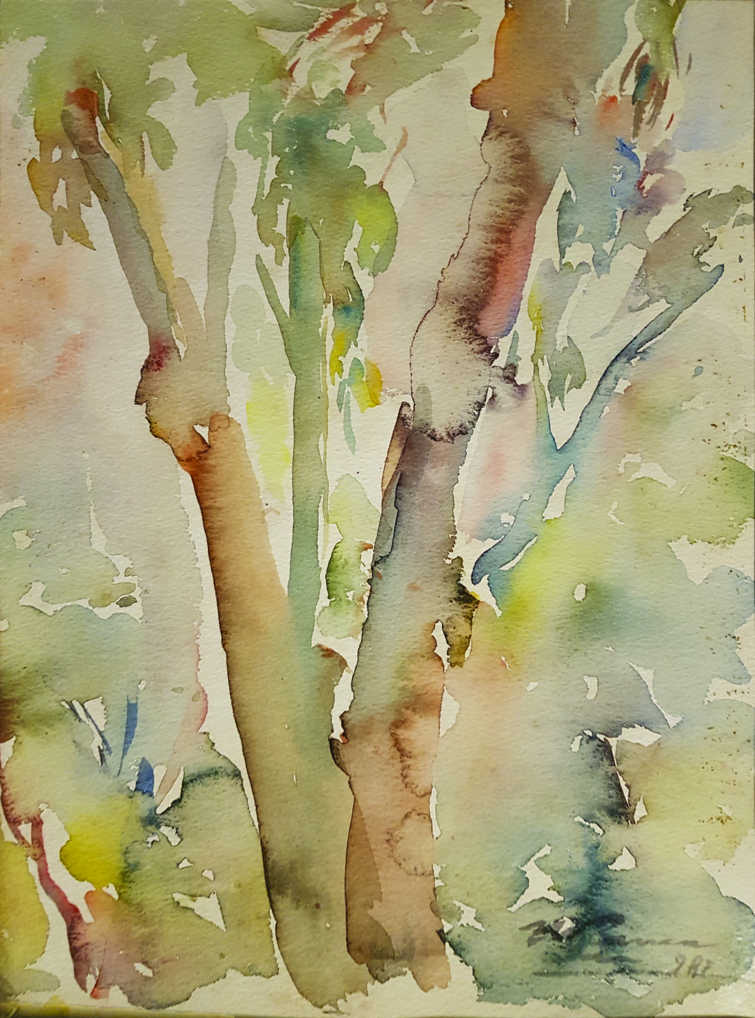 f10 Parco Botanico Porto Ercole maggio 1982 23x31
