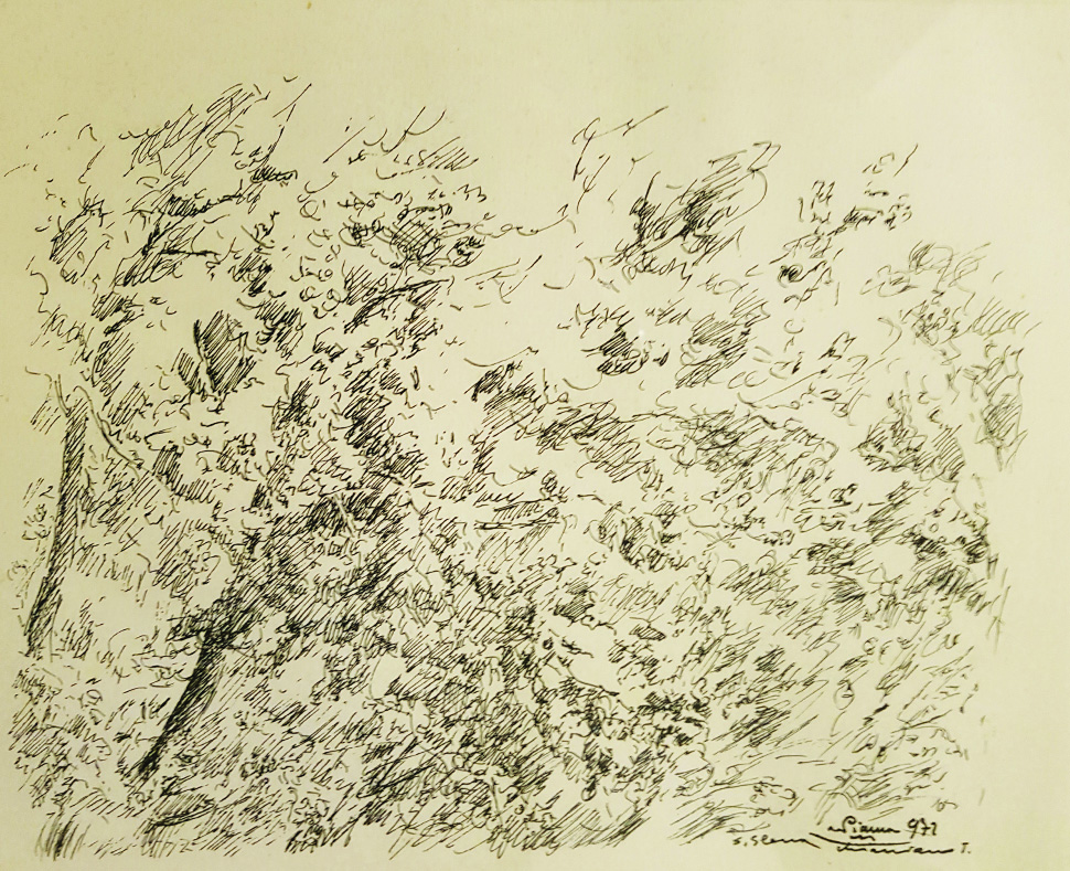 f14 S. Elena Chianciano Terme 1972 25x20