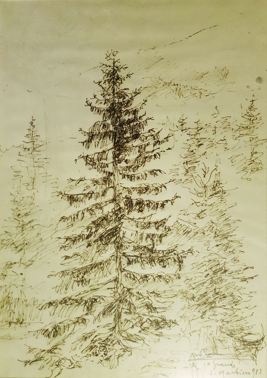 f16 S. Martino 1983 23x33