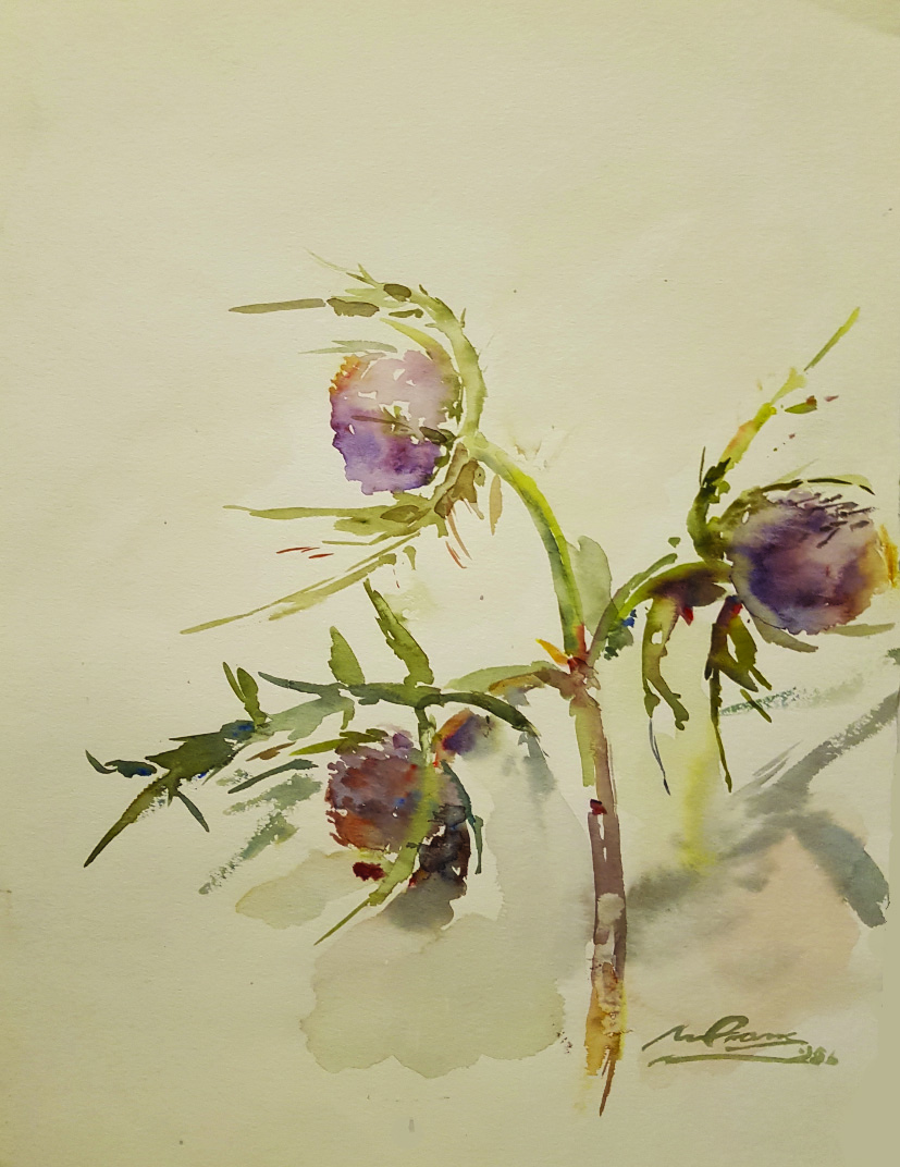 f22 Cardi di San Martino 1986 30x40