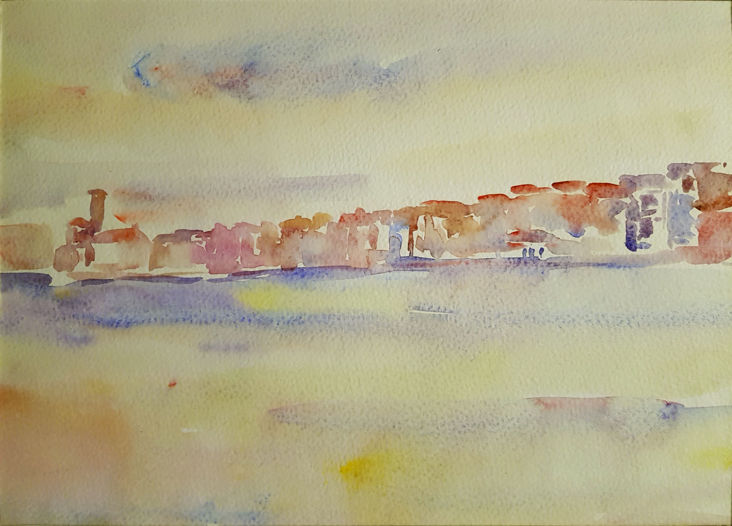 f35 Porto Rose 30x22
