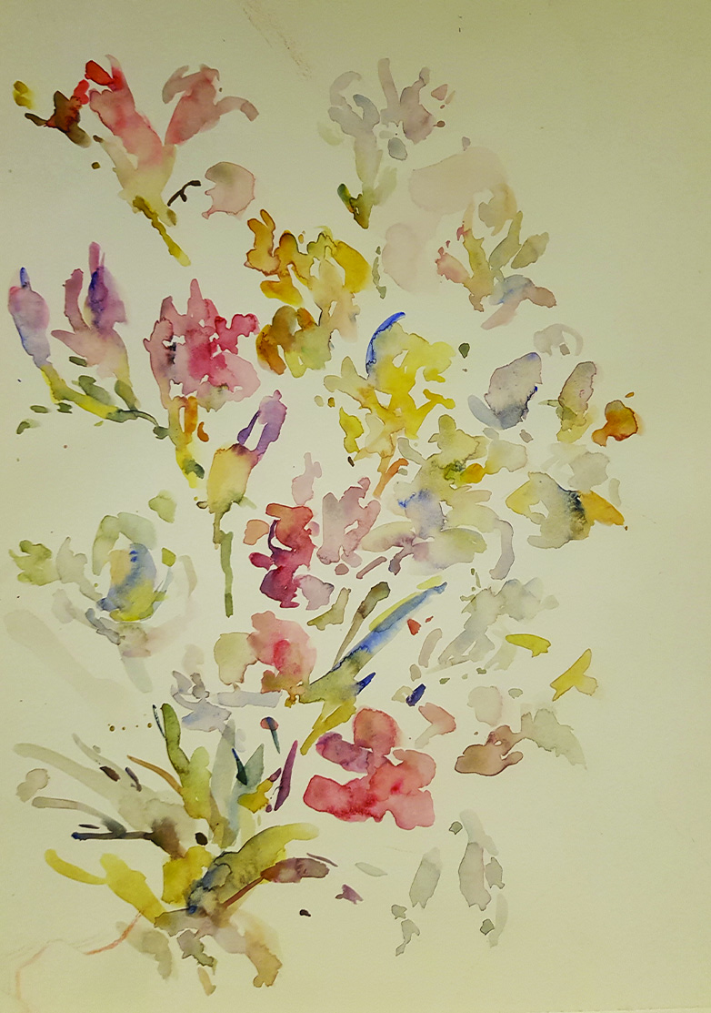 f42 24x34