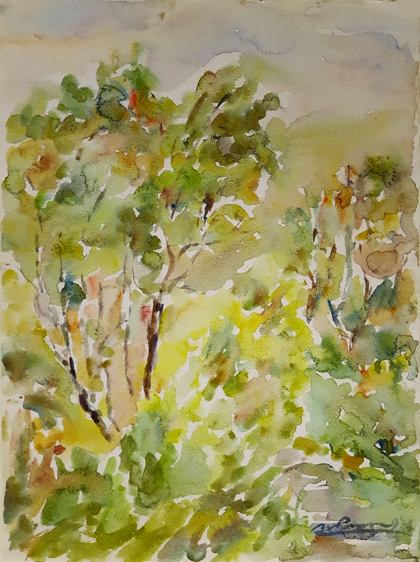 f44 30x40