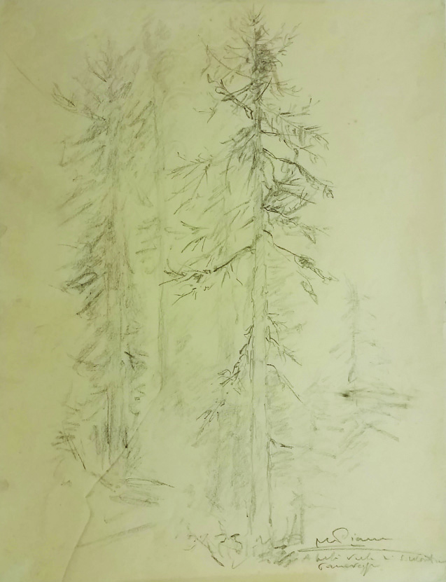 f54 Alberi a S. Martino 1979 30x40