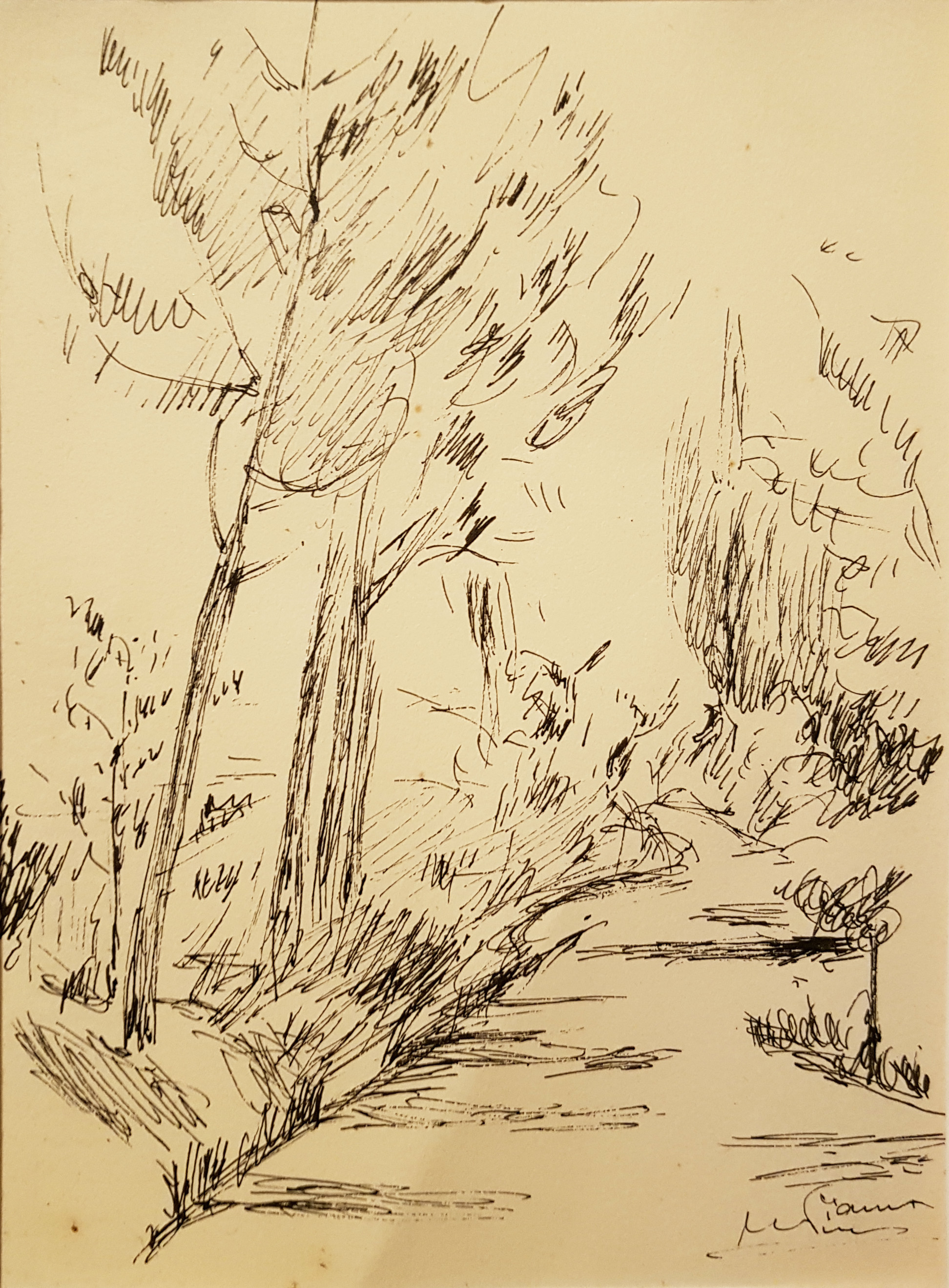 f56 11x15