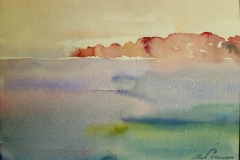 f31 19x14